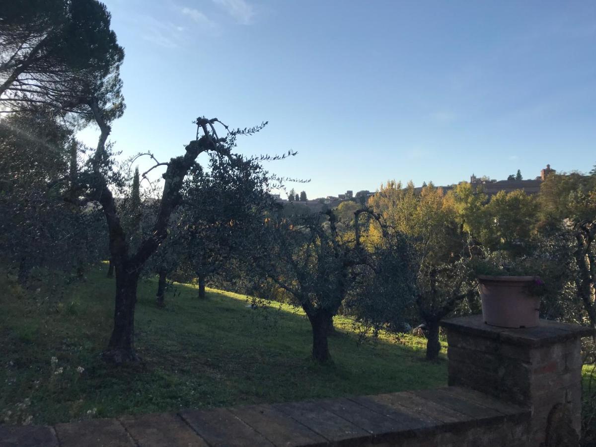 La Perla Tra Gli Ulivi Leilighet Siena Eksteriør bilde